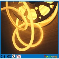 120v AC degree warm white neon 360 Topsung Lighting