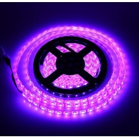 Design solutions international light 3 chips SMD 5050 5M 300 leds Waterproof IP65 12V rohs led strip light for new year