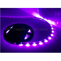 most popular RGB color changeable SMD 5050 60leds/m10-12lm led strip light with the CE/RoHs