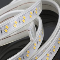 Double Raw  220V High voltage led 5730 120LEDs flexible strip light Power plug Promotion Price led light