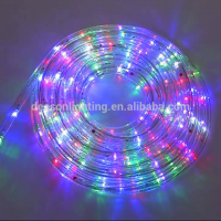 led rope light rgb 220V/110V