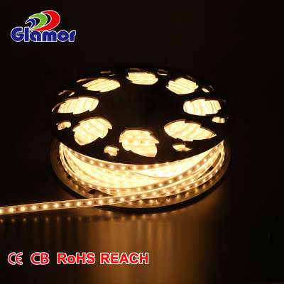 China 25 Meter LED Strip Lights Bright White LED Light Strips Cuttable Every 1M with IP65 Waterproof LED Strip Light in 230V